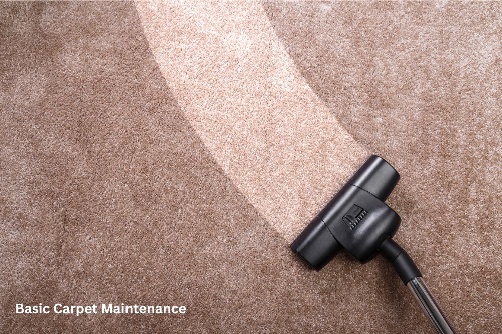 Carpet cleaning | Rugworks