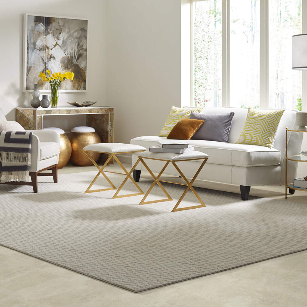 Area Rug | Rugworks