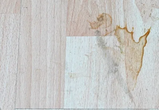 LaminateCare-Bonus-Img